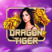 Dragon Tiger fairplay gaming game