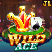 Wild Ace fairplay gaming slot